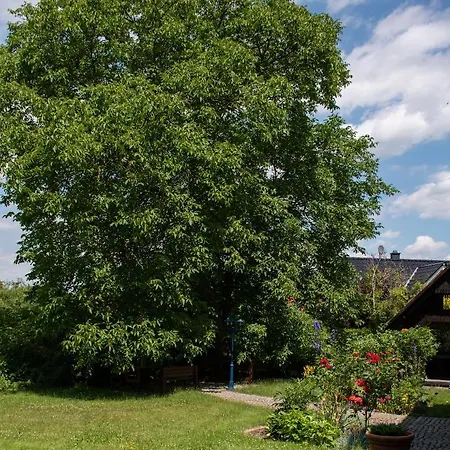 Ostrauer Hof * Bad Schandau