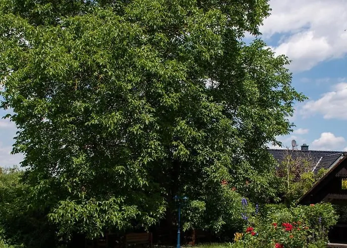 Ostrauer Hof * Bad Schandau